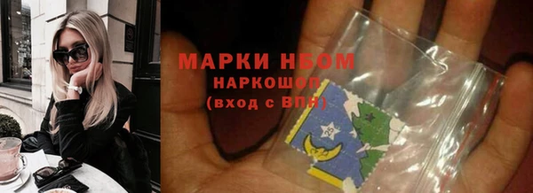 PSILOCYBIN Белокуриха