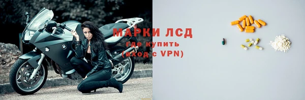PSILOCYBIN Белокуриха