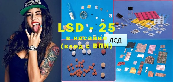 PSILOCYBIN Белокуриха