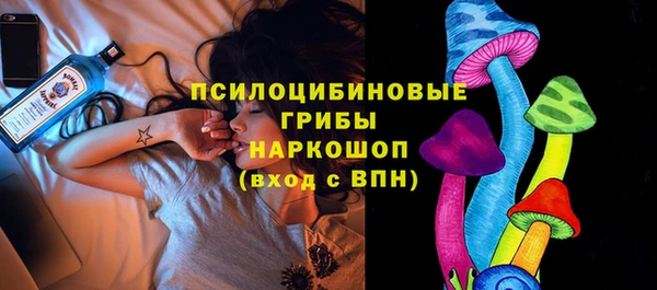 PSILOCYBIN Белокуриха