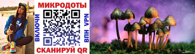 Псилоцибиновые грибы мицелий  Кудымкар 
